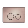 Novus Wall Hung Smart Bidet Suite Button (Brushed Brownze)